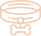 leashes